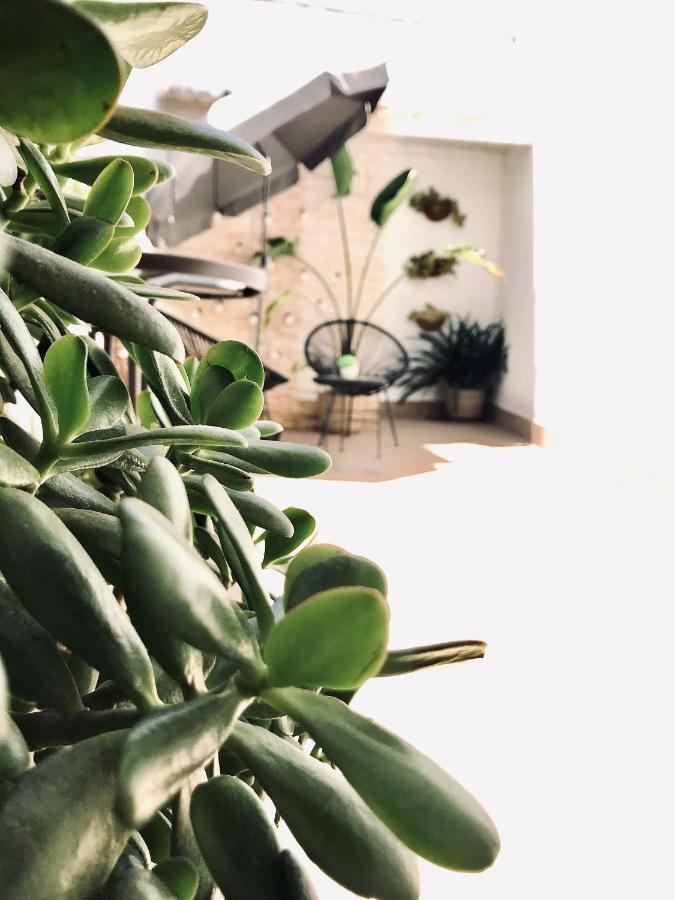 Apartamentos Elite - Art Collection - Frida Mérida Dış mekan fotoğraf